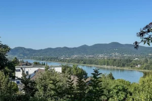 Rheinblick inklusive: Attraktives Zweifamilienhaus in Oberwinter
